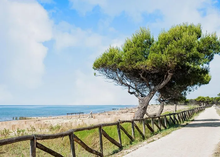 150mt From The Bibione